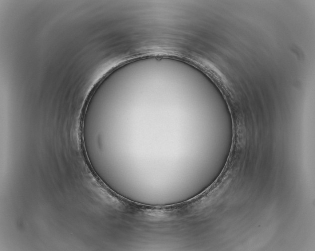 X0000110961182200906261335