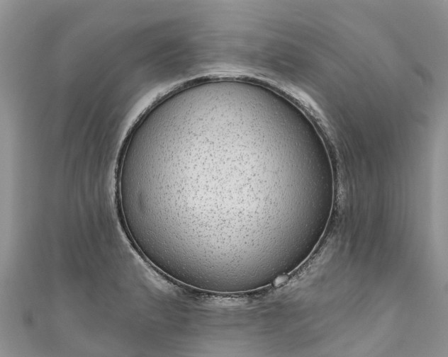 X0000110961183200906261335