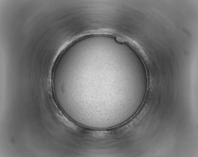 X0000110961184200906261335