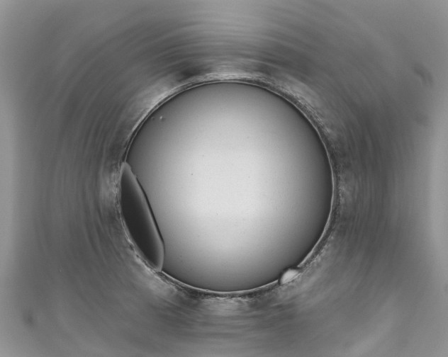 X0000110961185200906261335