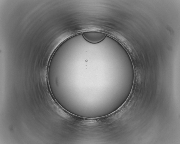 X0000110961186200906261335