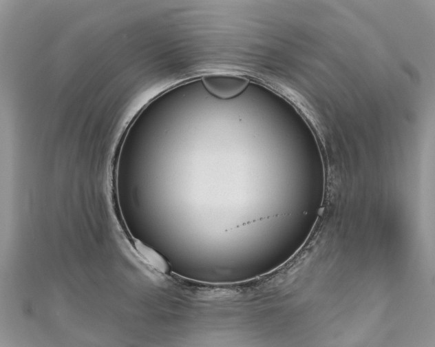 X0000110961187200906261335