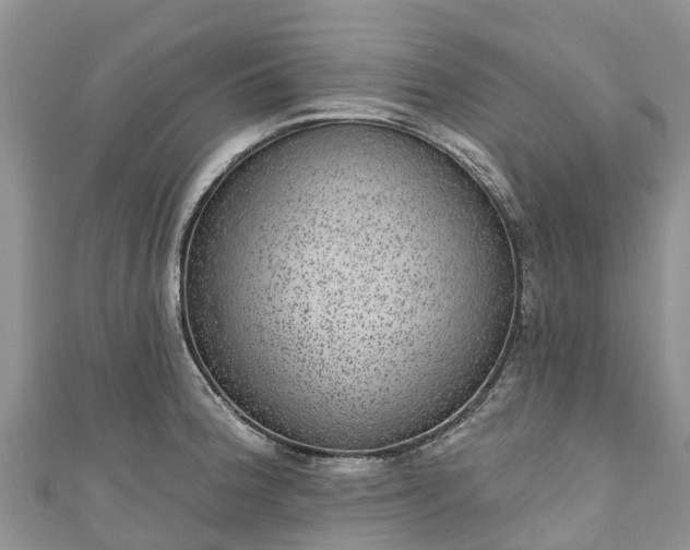 X0000110961188200906261335