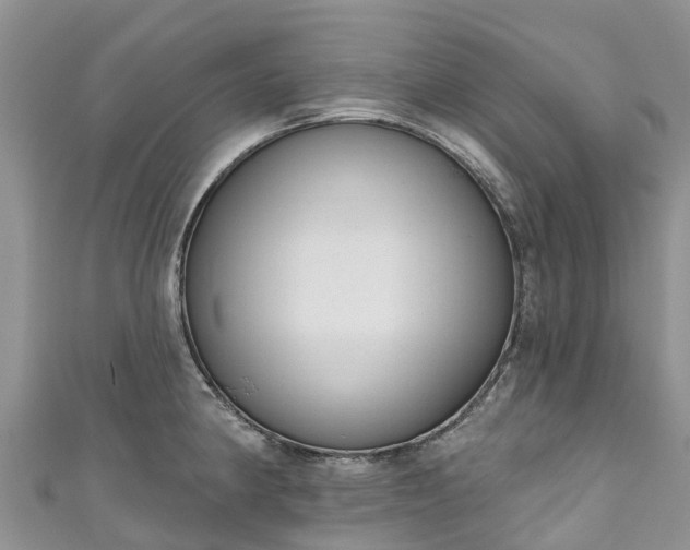 X0000110961190200906261335