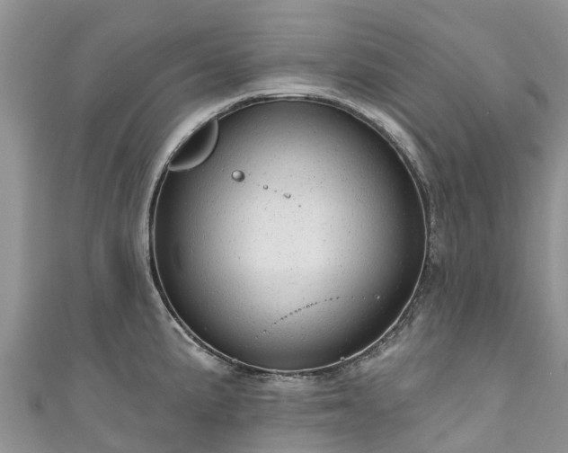 X0000110961191200906261335