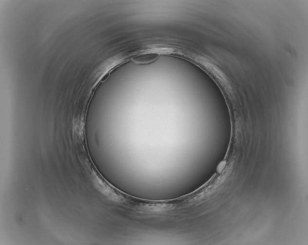X0000110961193200906261335