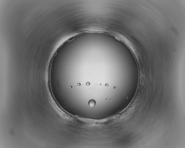 X0000110961195200906261335