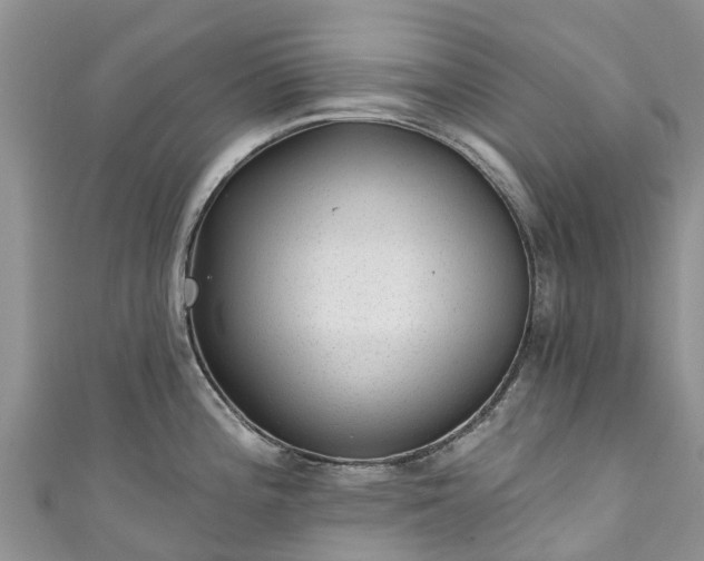 X0000110961196200906261335