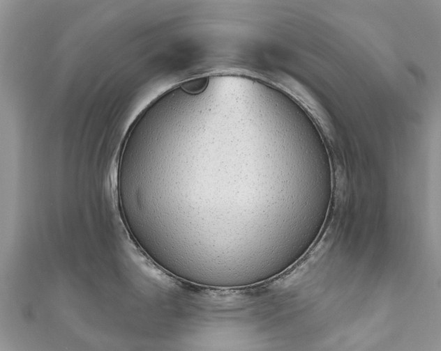X0000110961198200906261335