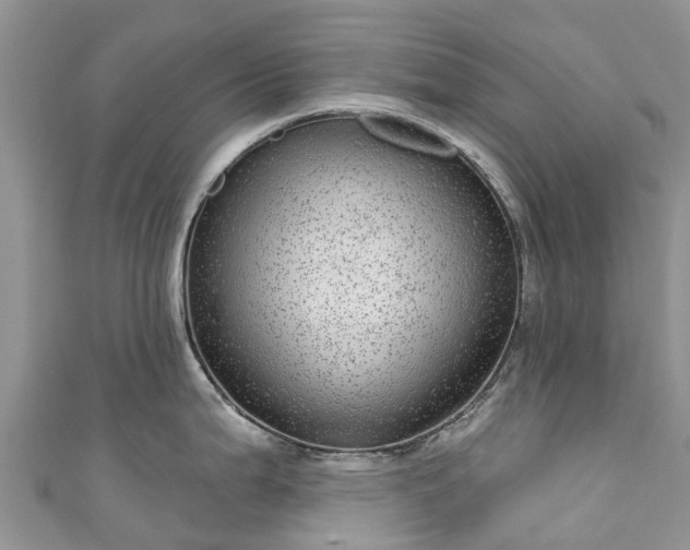 X0000110961199200906261335