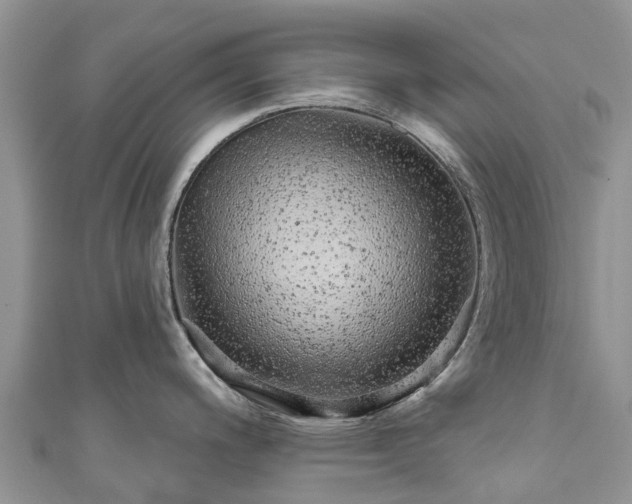 X0000110961200200906261335