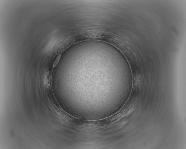 X0000110961202200906261334