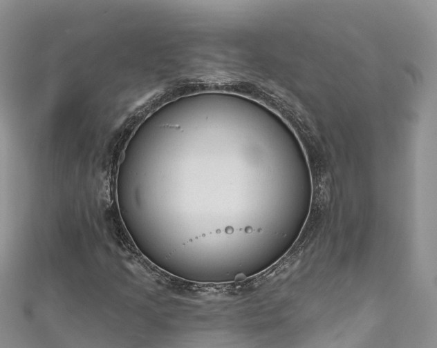 X0000110961205200906261334