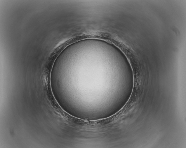 X0000110961206200906261334