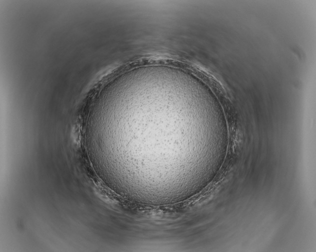 X0000110961207200906261334