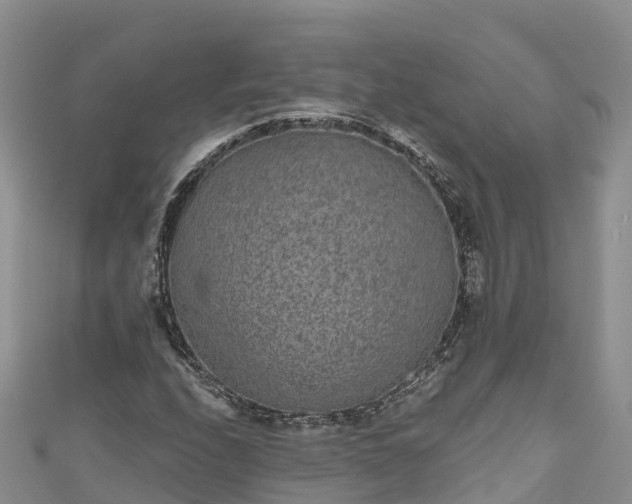 X0000110961208200906261334