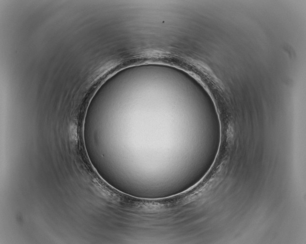 X0000110961209200906261334