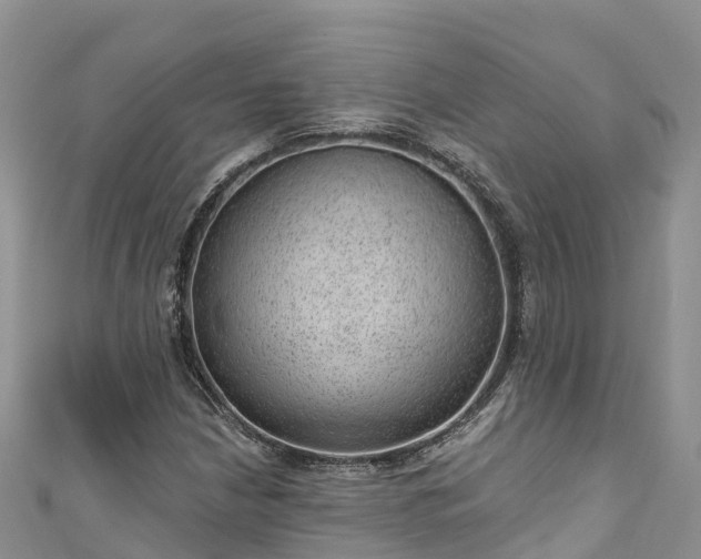 X0000110961210200906261334