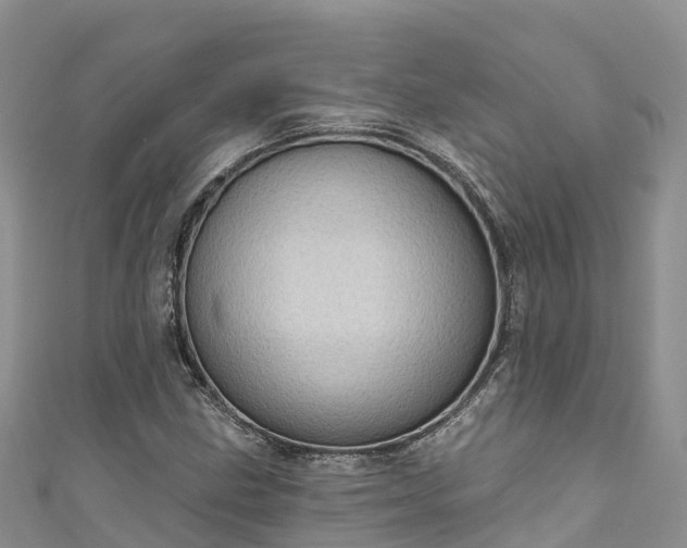 X0000110961211200906261334