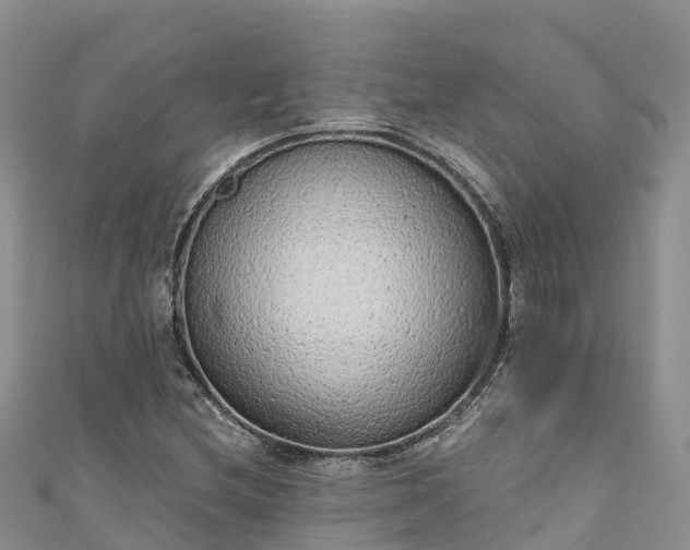 X0000110961212200906261334