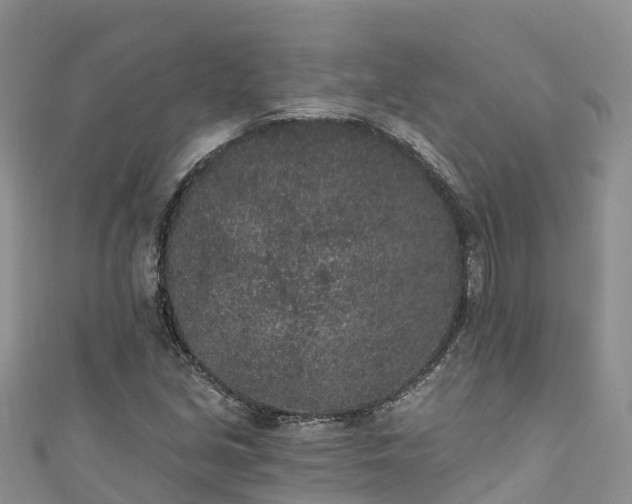 X0000110961213200906261334