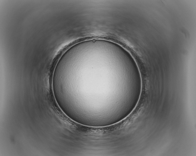 X0000110961214200906261334