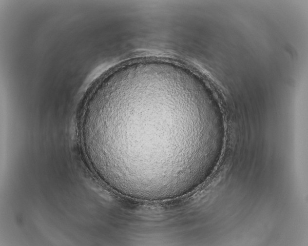 X0000110961215200906261334