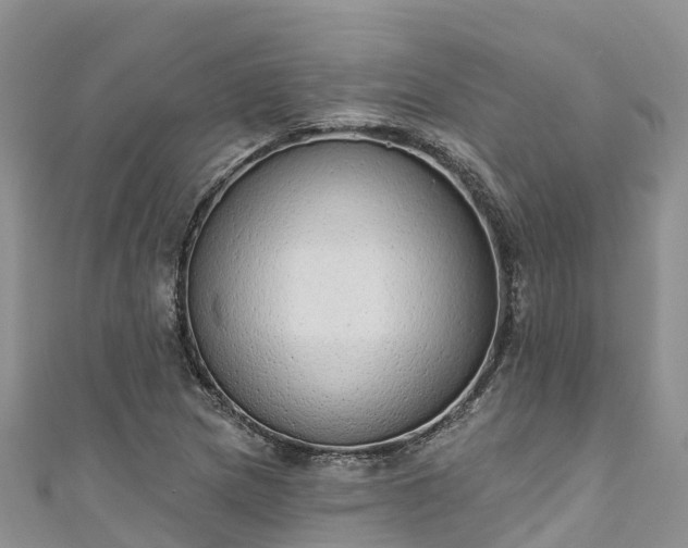 X0000110961217200906261334