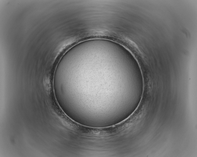 X0000110961218200906261334