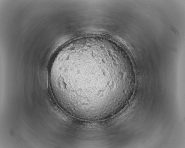 X0000110961219200906261334