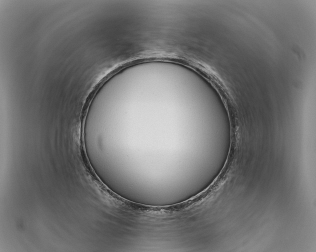X0000110961220200906261334