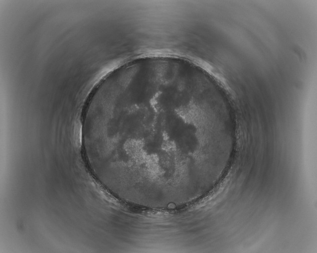 X0000110961221200906261334