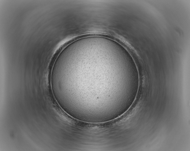 X0000110961222200906261334
