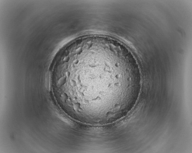 X0000110961223200906261334
