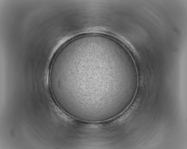 X0000110961224200906261334