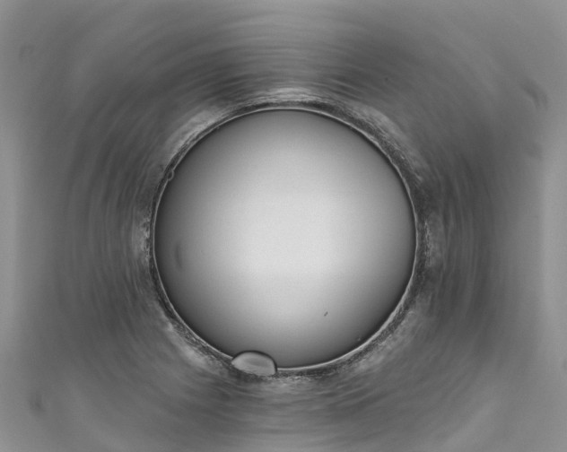 X0000110961225200906261334