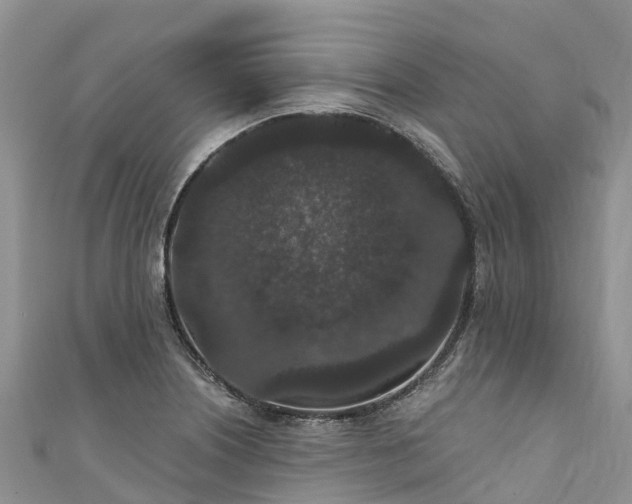 X0000110961226200906261334