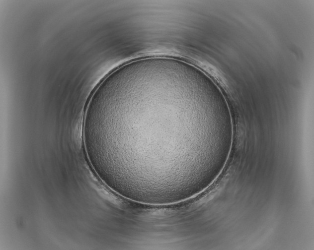 X0000110961228200906261335