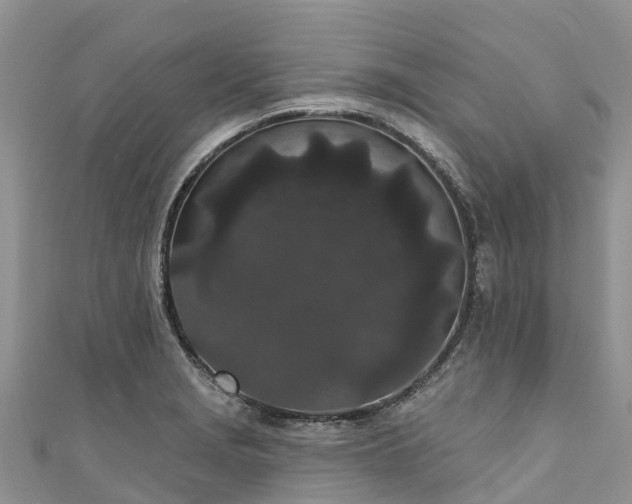 X0000110961229200906261335