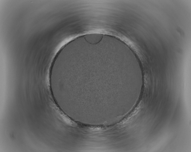 X0000110961230200906261335