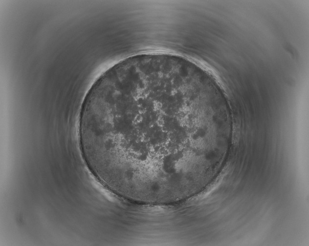 X0000110961231200906261335