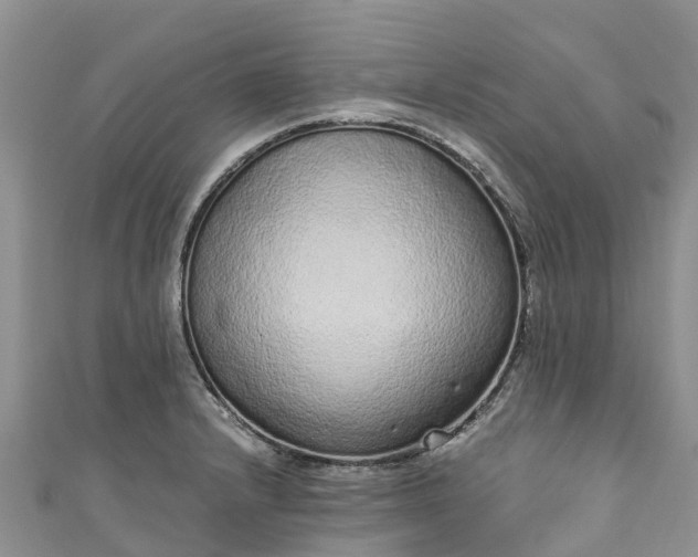 X0000110961232200906261335