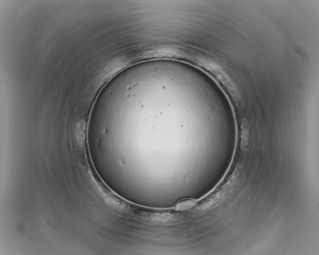X0000110961233200906261335