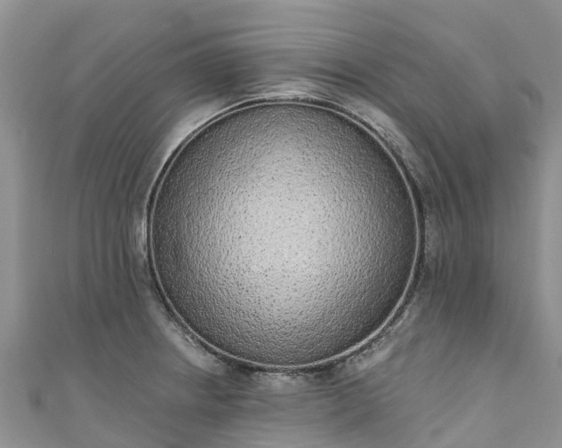 X0000110961234200906261335