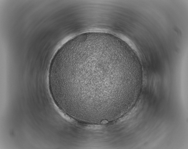 X0000110961237200906261335
