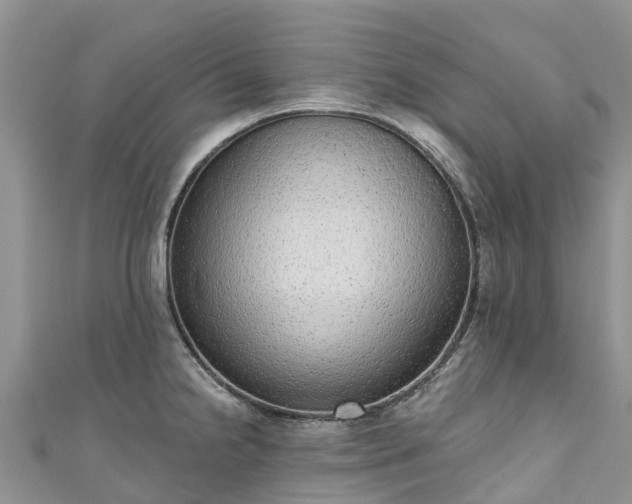 X0000110961238200906261335