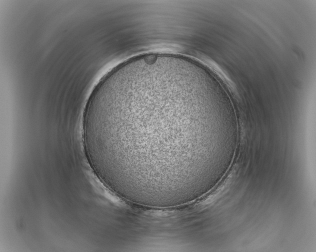 X0000110961240200906261335