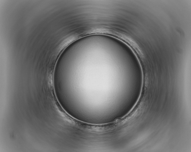 X0000110961241200906261335