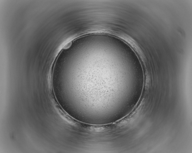 X0000110961242200906261335