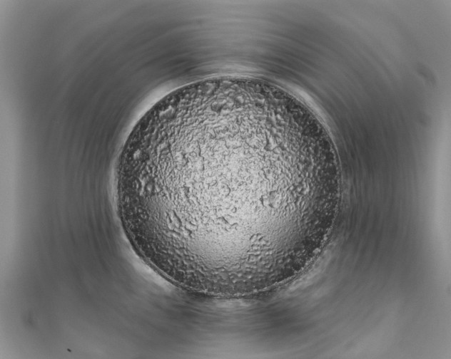 X0000110961243200906261335